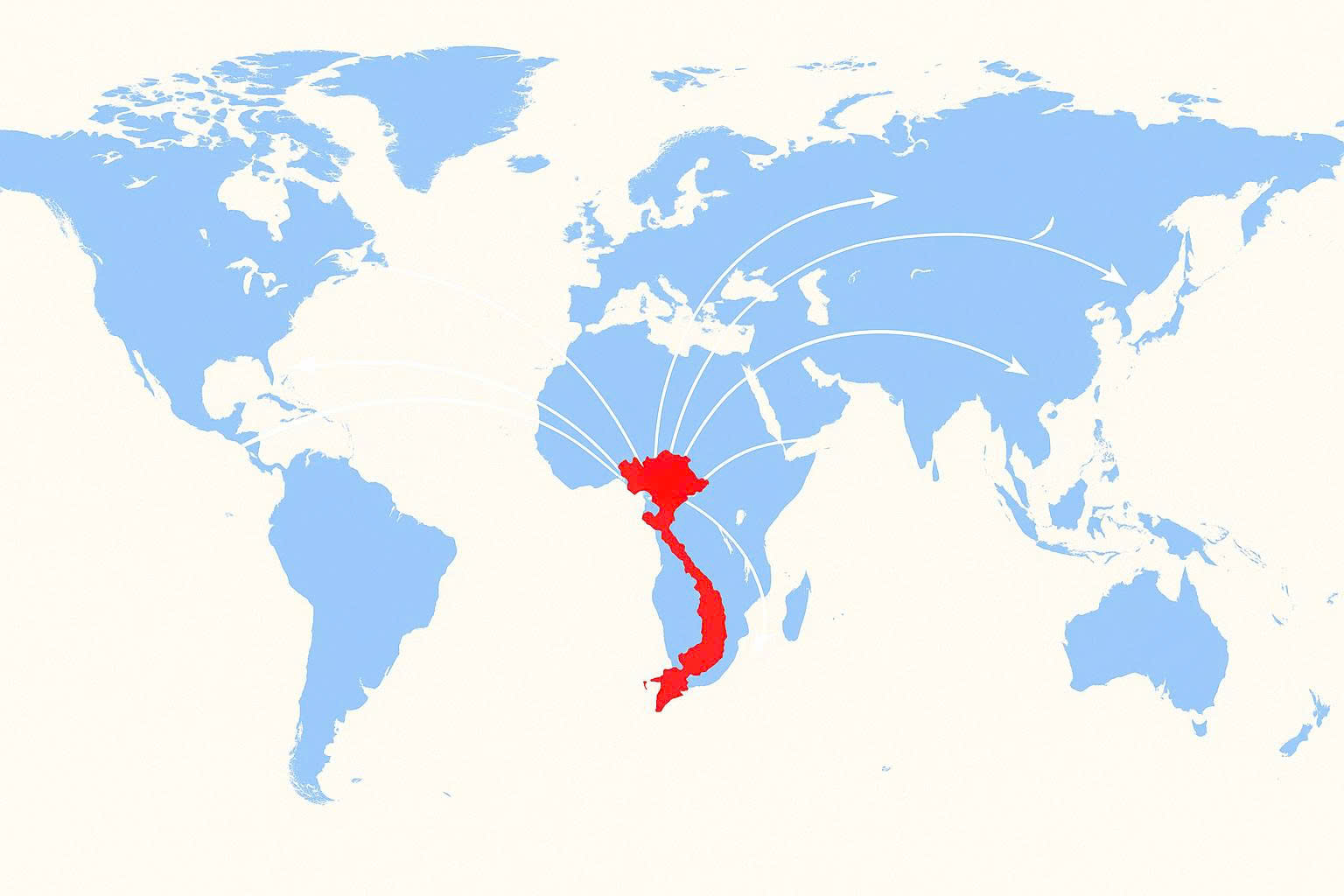 Reliable & Timely Delivery